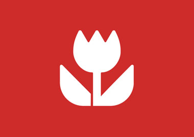 Portfolio 9